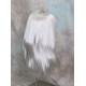 ALICIA | Silver Gray Long Wig Layered Bangs Skin Part 