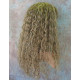 MORGAN | Light Blonde Long Wig Crimped Curl Bangs Skin Part 
