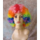 "Marty the Zebra" Style Rainbow Afro Wig Clown Afro Wigs Cosplay Costume