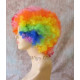 "Marty the Zebra" Style Rainbow Afro Wig Clown Afro Wigs Cosplay Costume