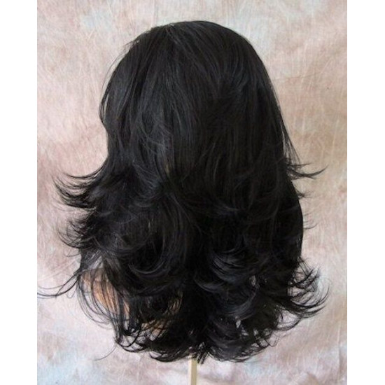 LF RIO | Lace Front Wig COLOR CHOICE Medium Straight Layers HEAT OK 