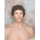 JUSTIN | Chestnut Brown Gray Men's Wig Short Tight Curls "Will Ferrell Style"