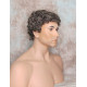 JUSTIN | Chestnut Brown Gray Men's Wig Short Tight Curls "Will Ferrell Style"