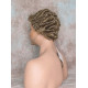 JUSTIN | Light Brown 75% Gray Short Tight Curls Men's Wigs 