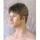 DANNY | Medium Brown Gray Mix Spiky Top Men's Wig Short Short Sides 48