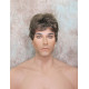 JAY | Golden Brown 35% Gray Short Thick Full Men's Wig Wigs 
